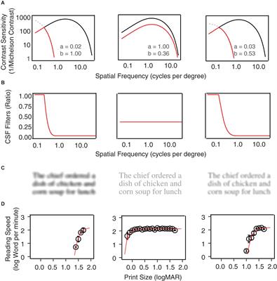 Simulating Visibility and Reading Performance in Low Vision